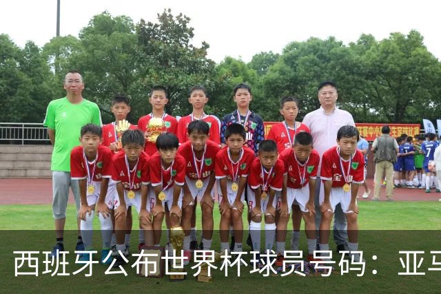 西班牙公布世界杯球员号码：亚马尔身披19号 奥尔莫10号