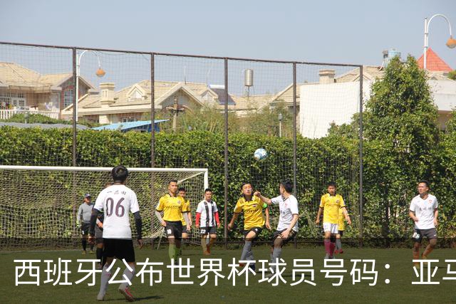西班牙公布世界杯球员号码：亚马尔身披19号 奥尔莫10号